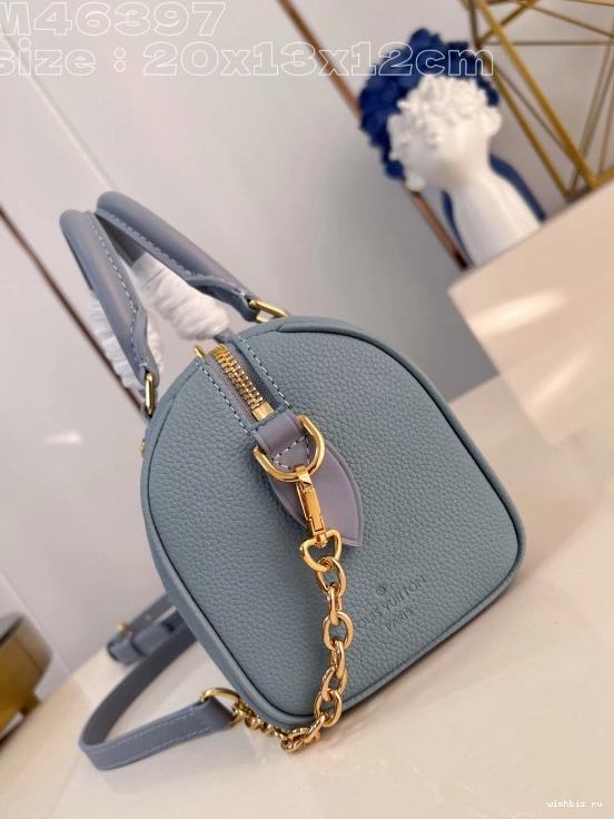 WIS SPEEDY BANDOULIÈRE 20 LOUIS VUITTON 1225